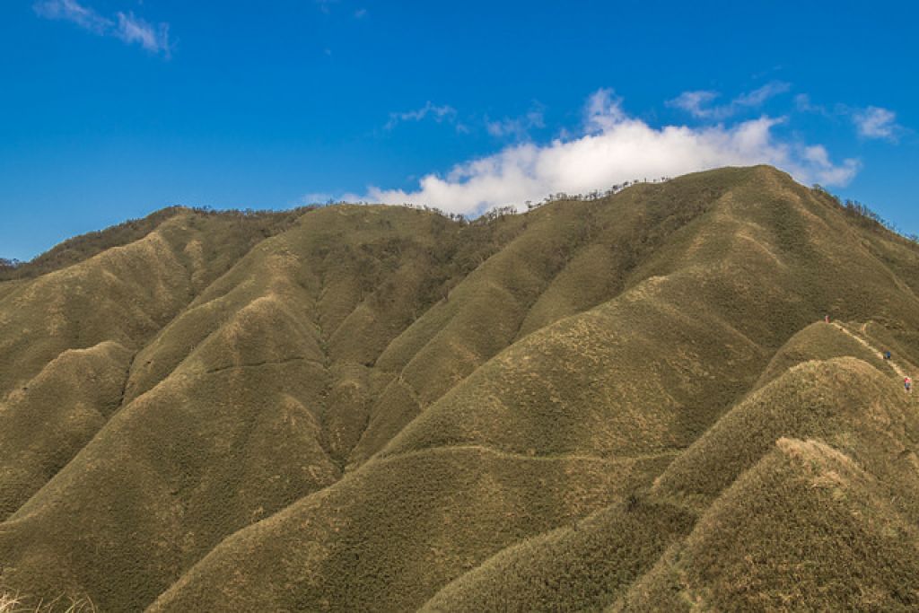 WL 愛旅行【三角崙山】_286180