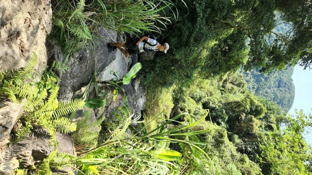 烏桶縱走（烏來山，大桶山），紅河谷越嶺古道，新店塗潭山，淡水山仔頂登山步道_1765357