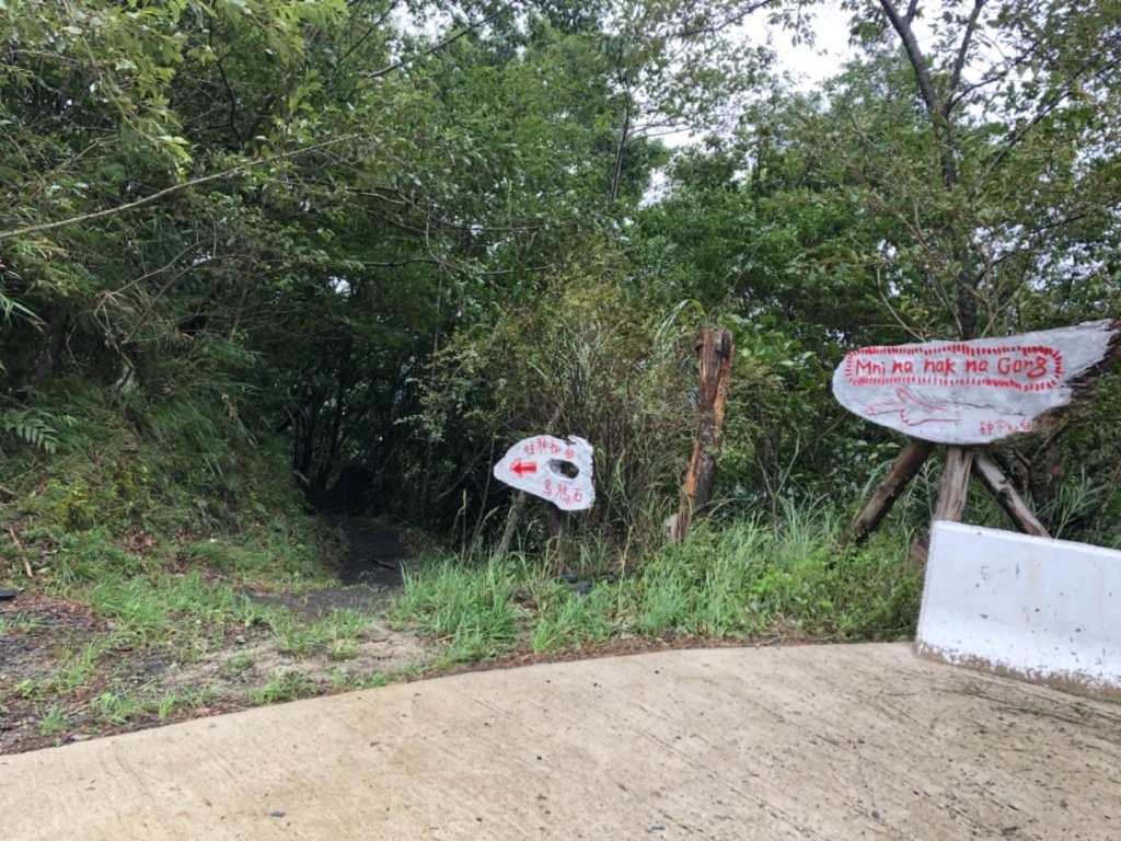 新竹 尖石 司馬庫斯_658173