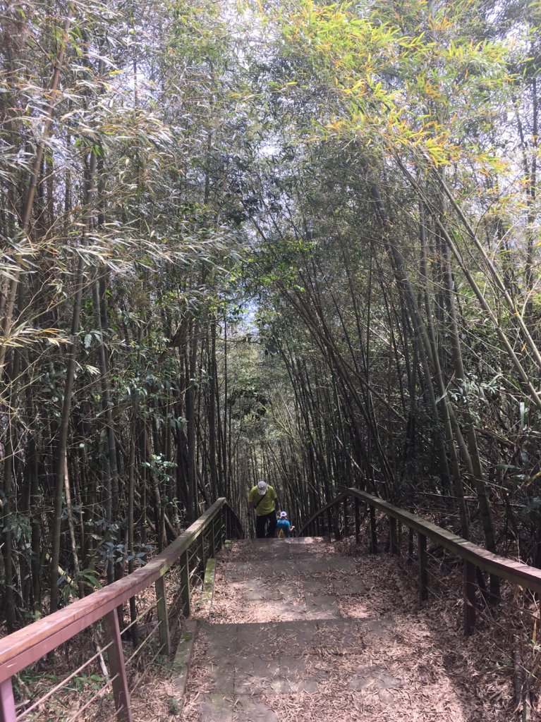 210501衝居父女同遊大尖山_1369186