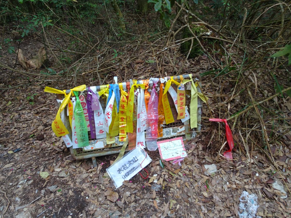 2022年02月13日(彰山協)南投日月潭四兄妹之中級山~大尖山縱走水社大山_1613452