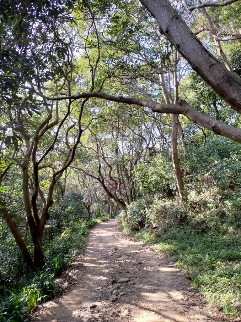 虎頭山大亂走_820231