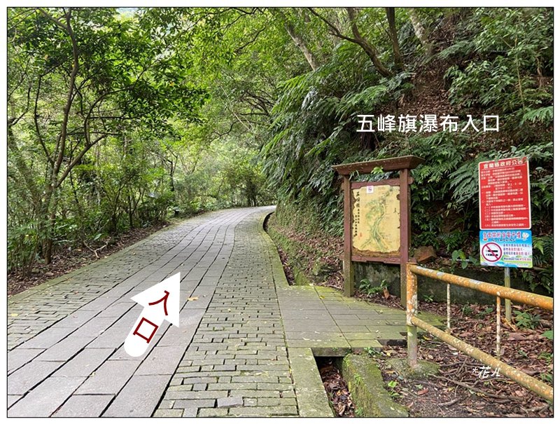 聖母峰、三角崙山 (抹茶山) 連走_2802161