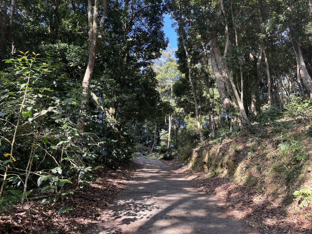 2023_1119  藤枝山_2354353