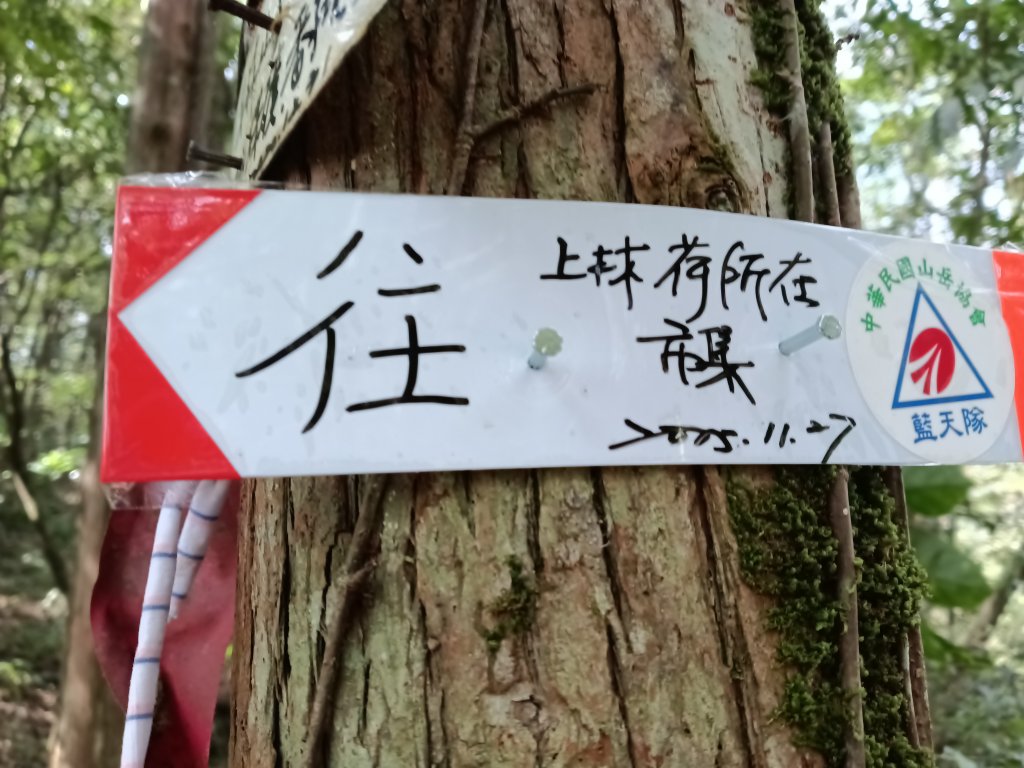 雙溪區東內平林山+上平林山+平林山去回_2952534