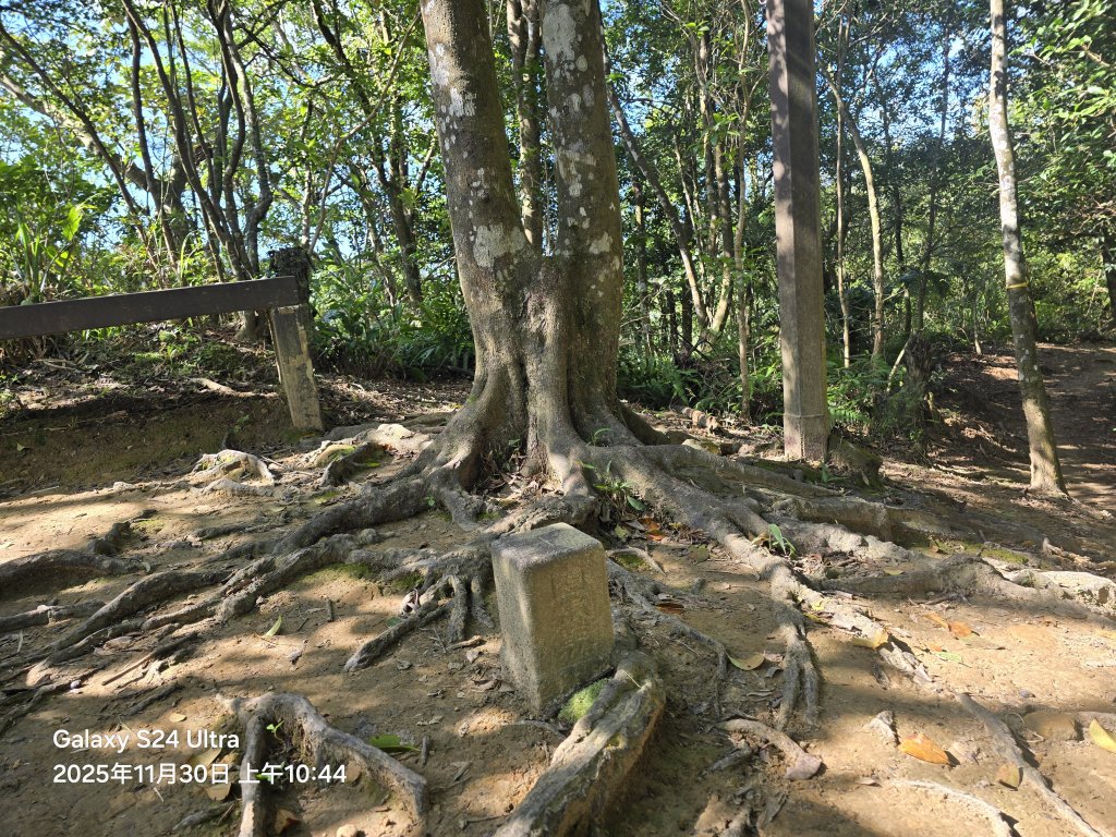 2025-11-30微笑山線：【五分山系】望古瀑布段_2950281