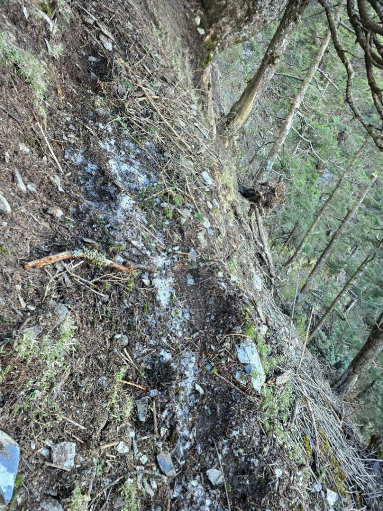 卓社大山〔武界栗栖溪登山口起登〕_2748477