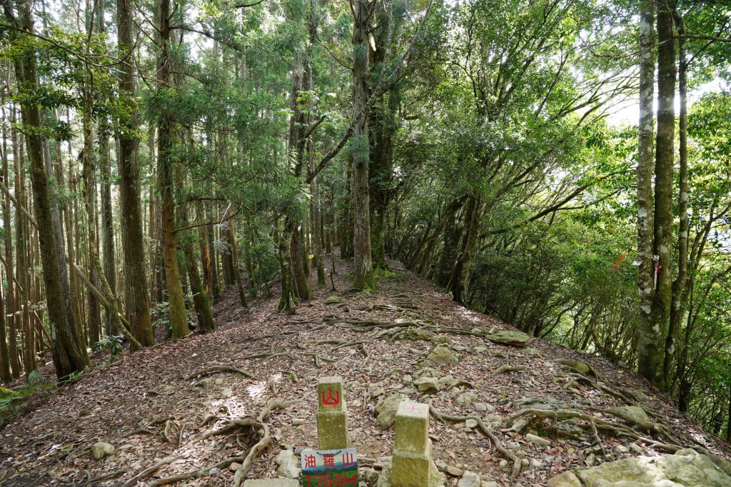 新竹 五峰 油羅山、霞山_2798247
