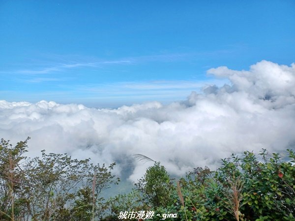 【台中和平】2022「谷關七雄，慢旅台中」登山活動認證。 360度全視野。 谷關七雄~東卯山步道_1897766