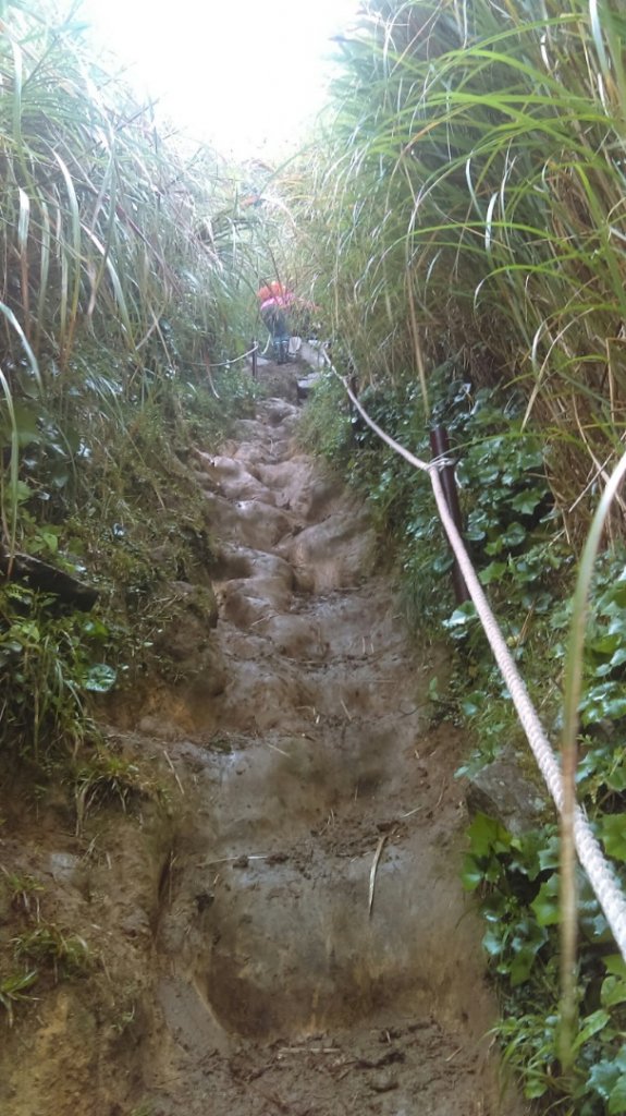 大屯山（小百岳）連峰面天山向天山O型走_563878