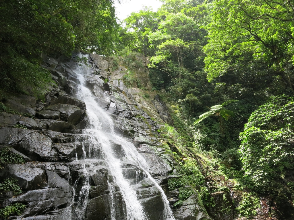 清涼一夏~青山瀑布尖山湖步道O型走封面圖