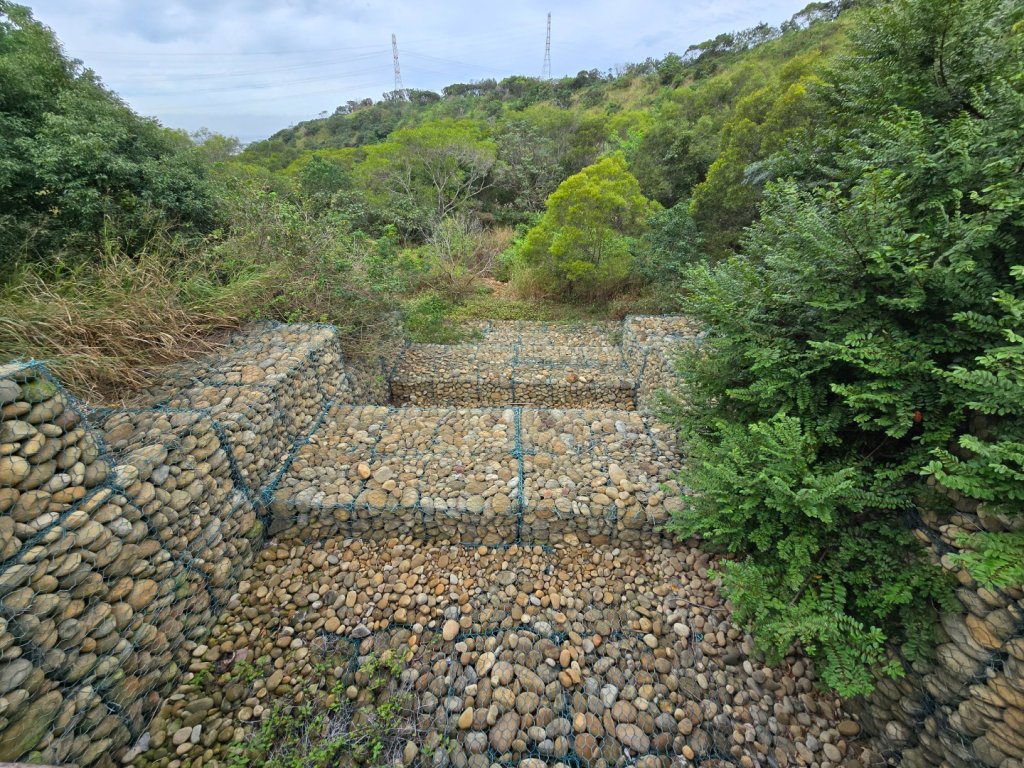 龍井-竹坑-南寮登山古道_2651090