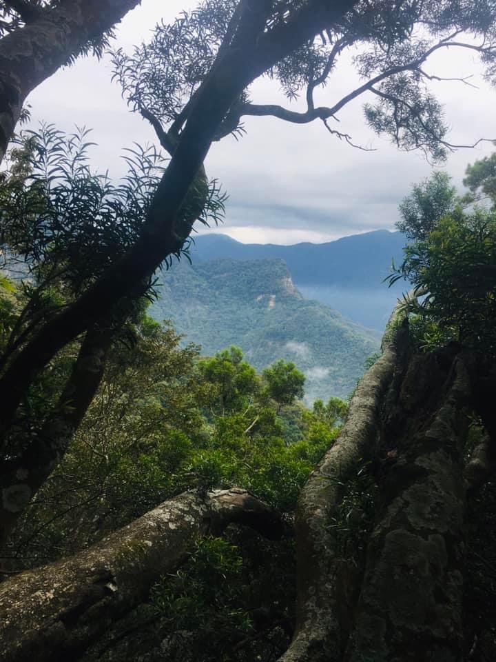 橫龍古道、騰雲駕霧、雲海處處、彩虹彎彎_1924728