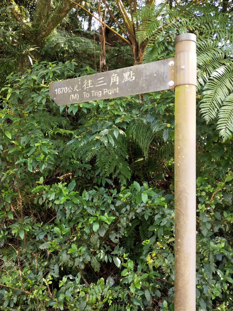 姜子寮山步道_1678543