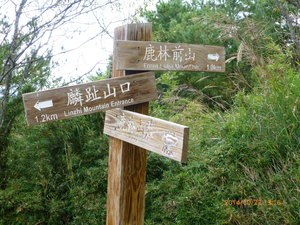 麟趾山步道景色_18884