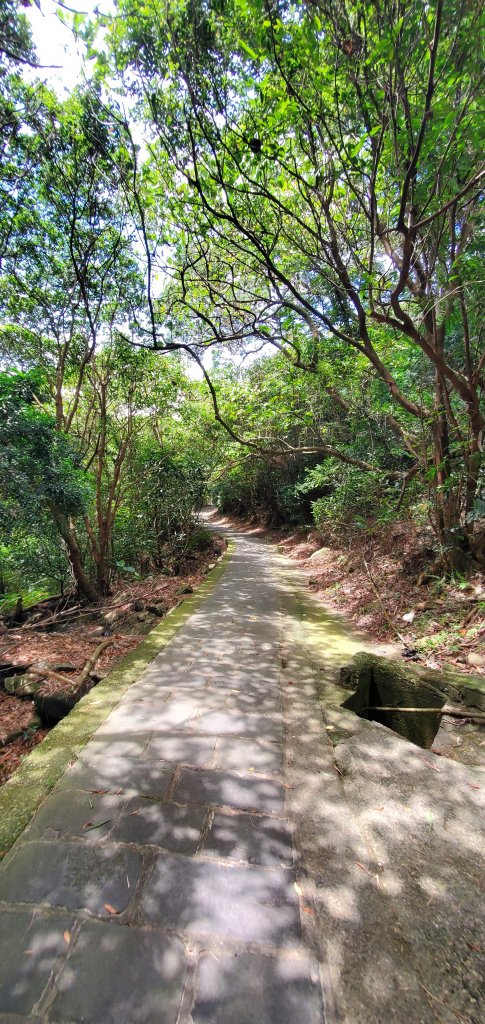 2024-06-15觀音山【福隆山、尖山(占山)登山步道】O走_2528191