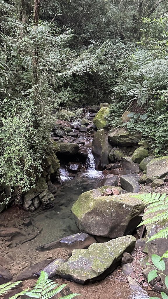 20231029熊空林道_2354606