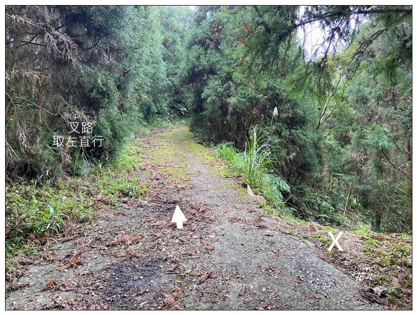 南庄山 (苗栗、南庄)_2734574