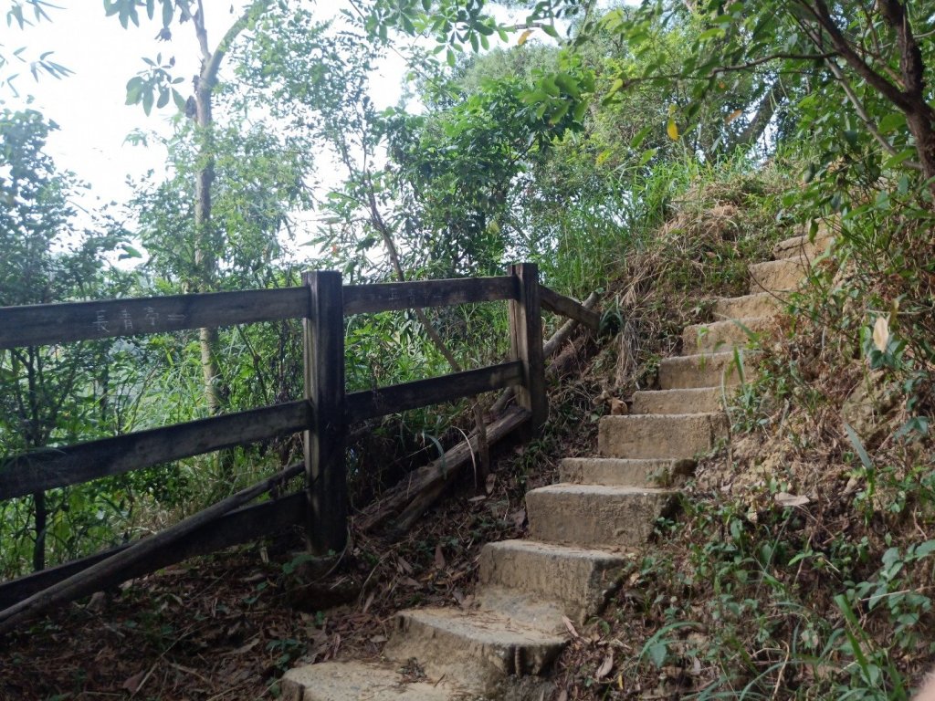 觀音山O型蹤走封面圖