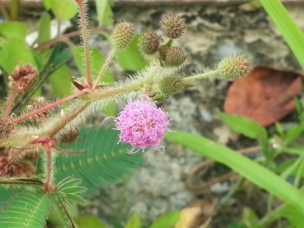 原來這裡有好玩滑梯_441192