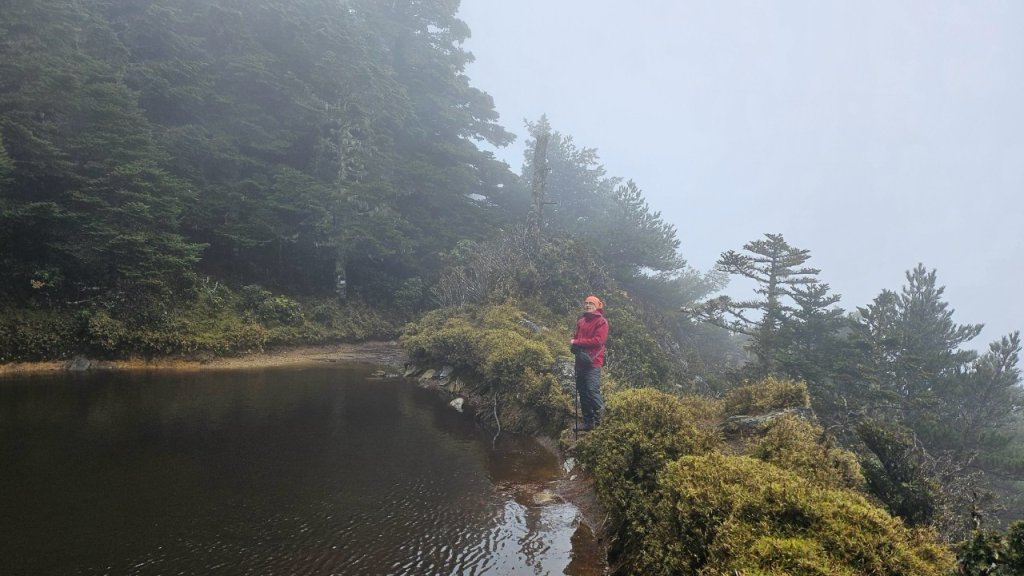 20250319～20嘉明湖國家步道🥶🥶🥶殘念😭_2739736