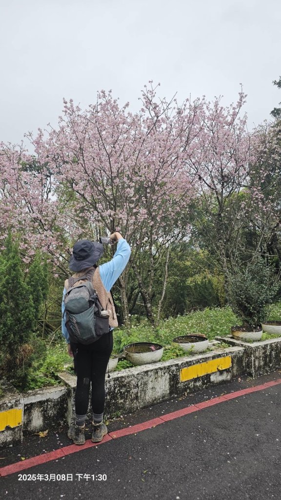 台北大縱走第七段_2733877