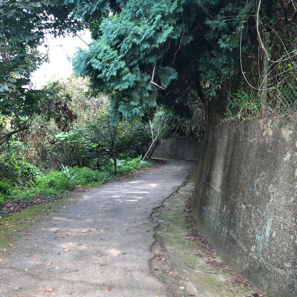 台灣小百岳No.043 三汀山_1103340