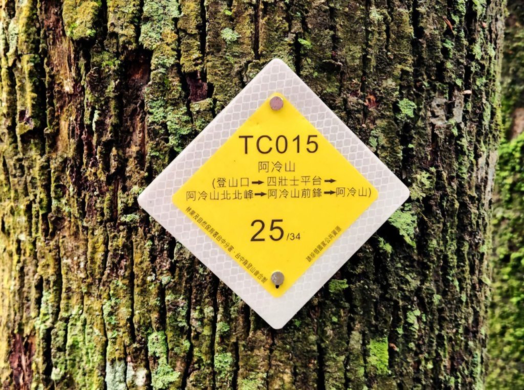 【中級山】隱藏版的大魔王，谷關第八雄，阿冷山，阿冷山前峰，阿冷山北峰_2745357