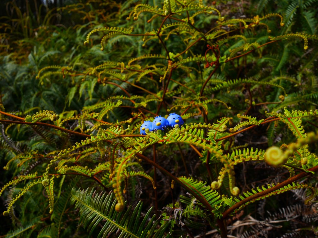 20220227｜大崙頭尾山接金面山_1621479