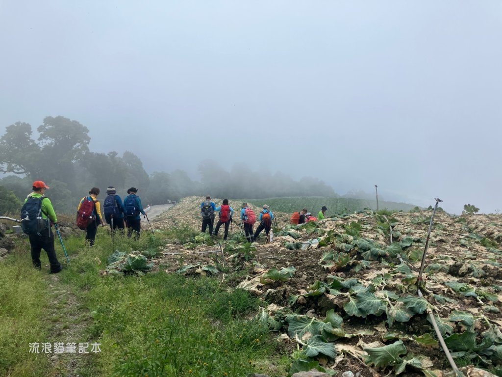 【佐米縱走】走進迷霧森林尋找千歲神木，參加一場巨木群的盛宴_2888775