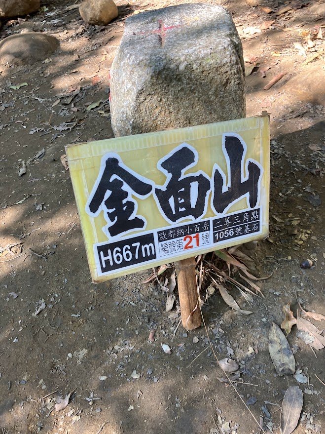 桃園金面山_2407446