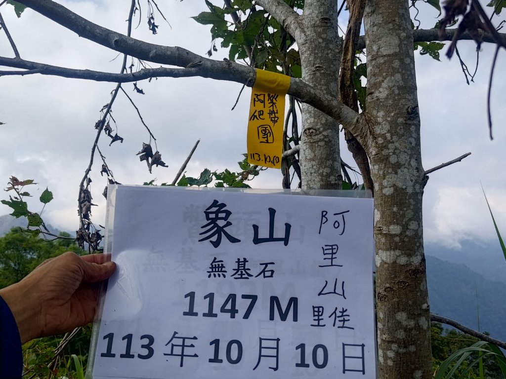 隙頂象山封面圖