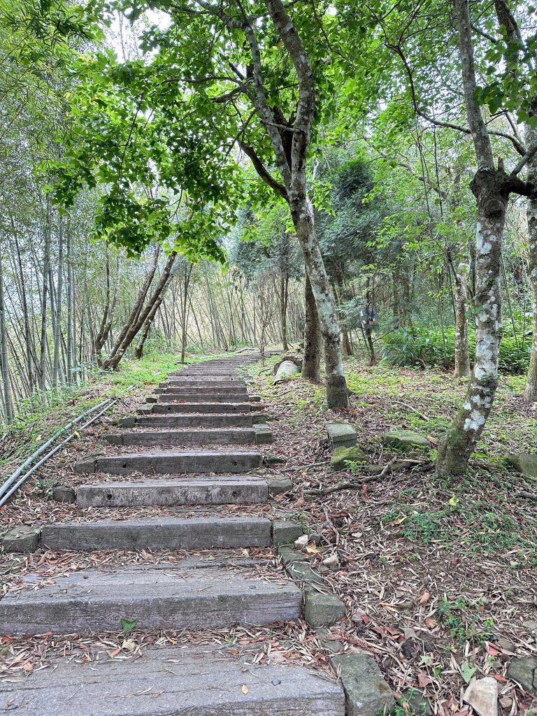 二延平步道接茶霧之道輕鬆走_2498169