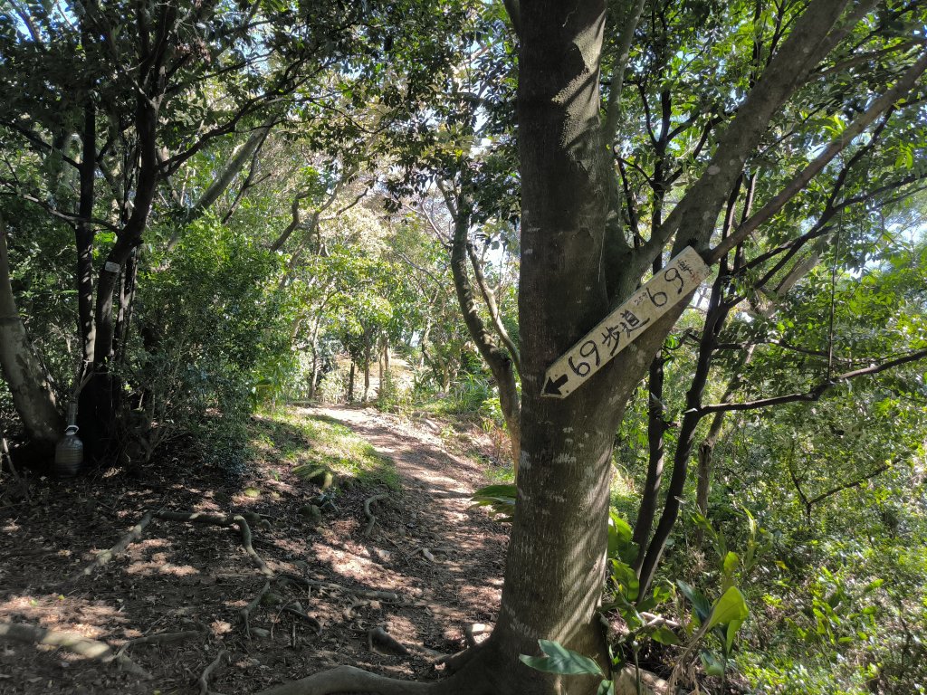 20250906泰山辭修公園、尖棟山、69步道、瓊仔胡_2879484