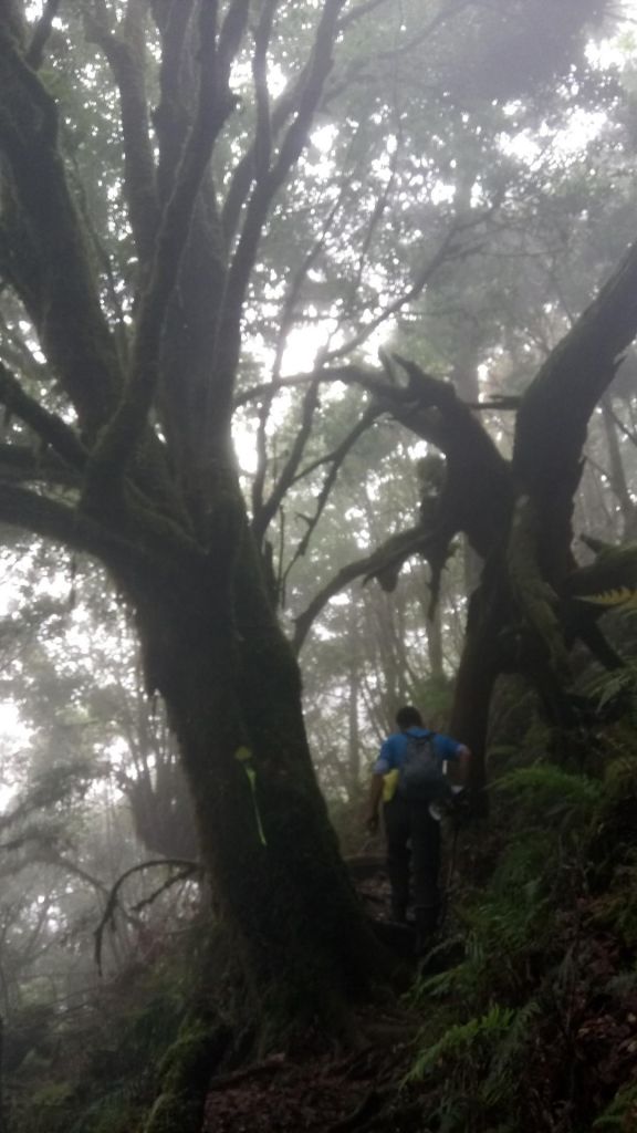 仙女的珍珠項鍊散落在加羅湖_352772