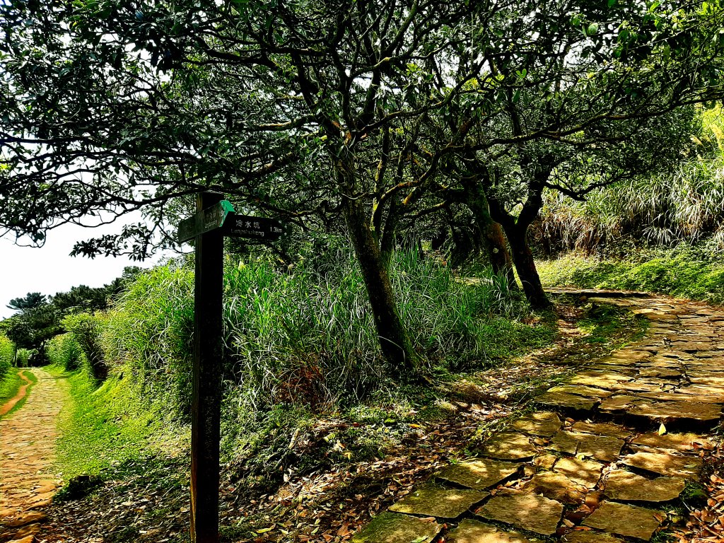 臺北大縱走3｜山行找回忙碌日常遺失的幸福感_2473679