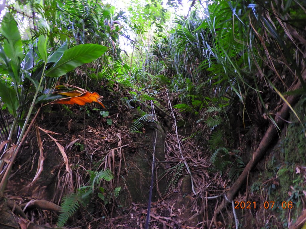 基隆 七堵 仙洞湖山_1422594