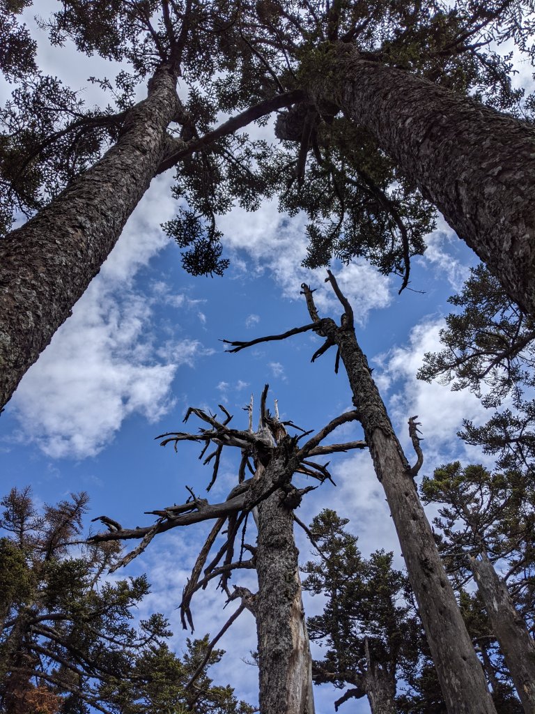 西山神祠 玉山西峰_871134