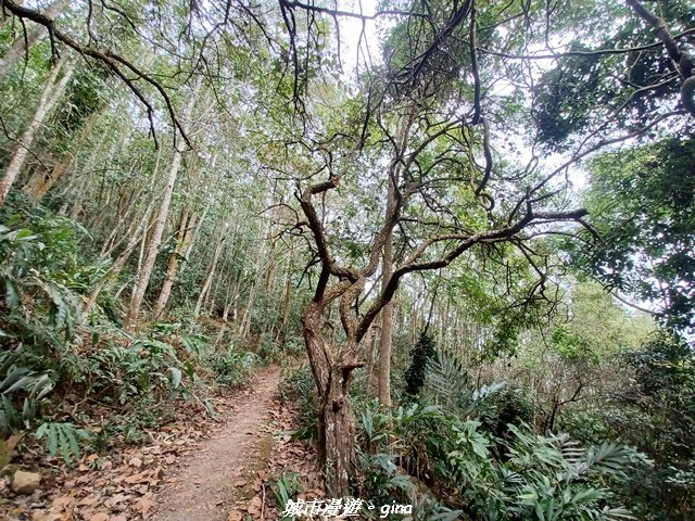 【南投國姓】九份二山x九份二山國家地震紀念地x九號梅莊_2981693