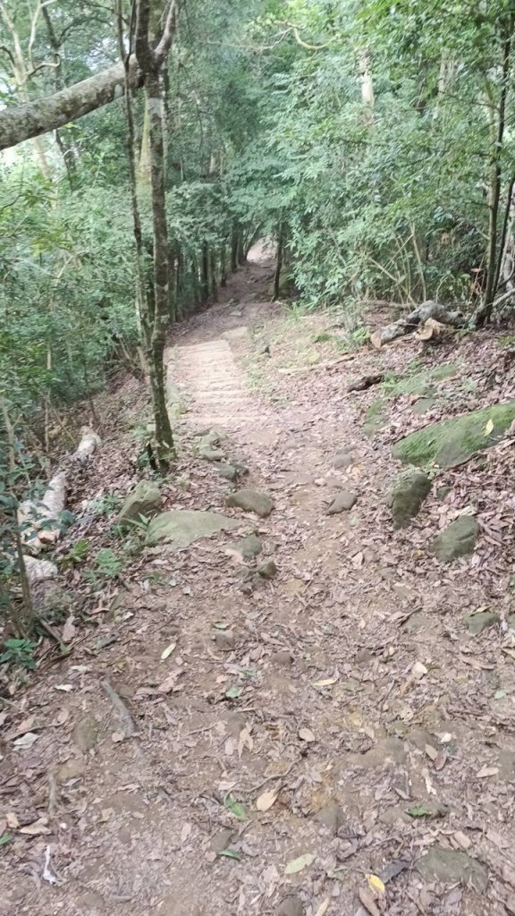 20251004 馬那邦山 - 珠湖 登山口_2904766
