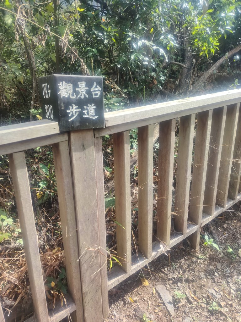 惠蓀湯公啤&小嵐_2697838