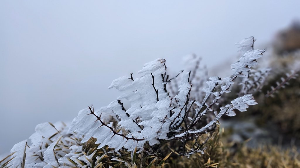 112.3.13～3.14 冰封奇萊主北_2073896