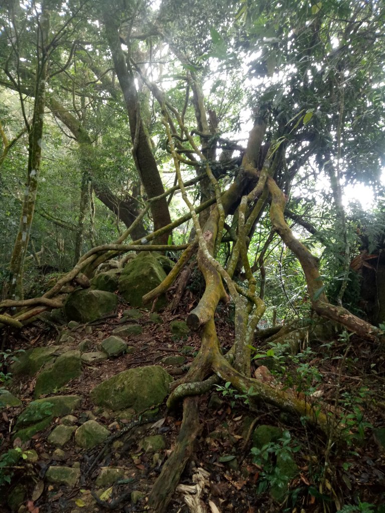 小百岳九份二山_1884011