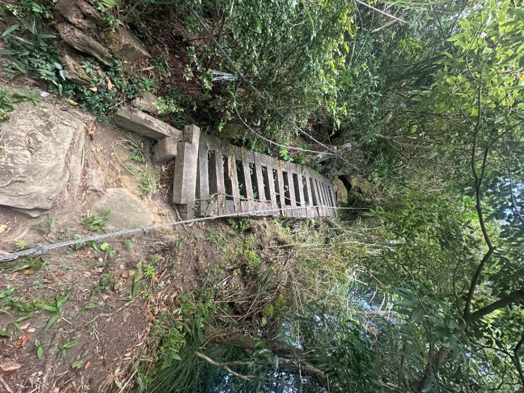 獅仔頭山_2601977