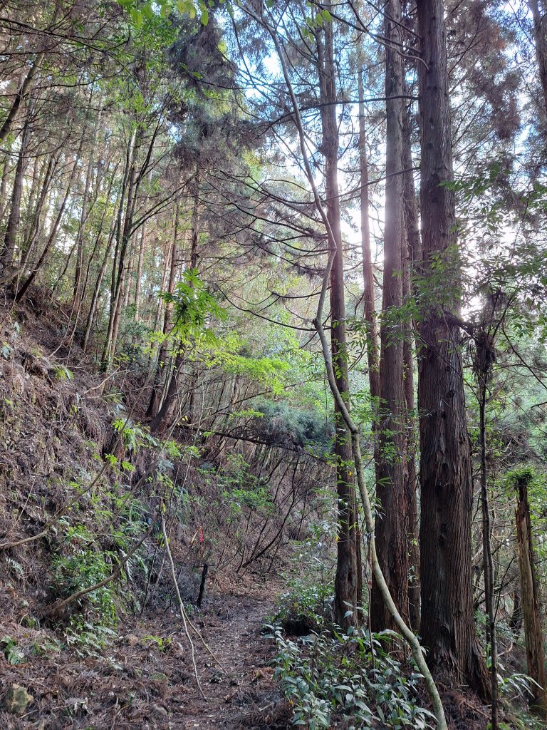 盡尾山20251225_2971987