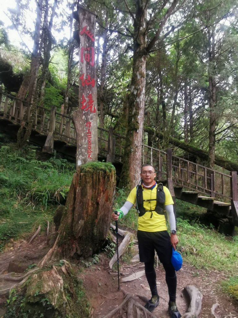 檜木原始林步道-倒臥的巨幹形成雙代木景觀_1040739