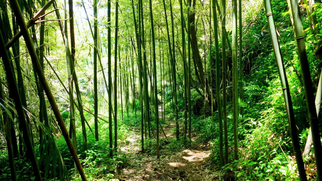 猴崁古道。盧特訪積封面圖