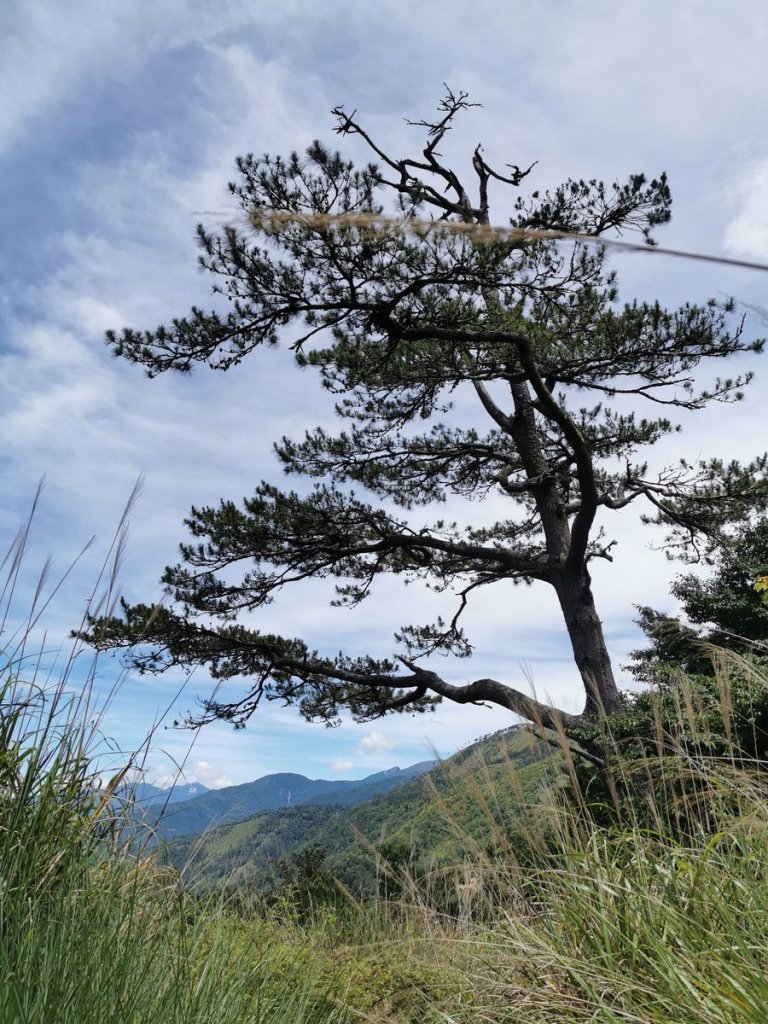 北一段補考行-南湖5峰巧遇滿開杜鵑佐大景_1017043