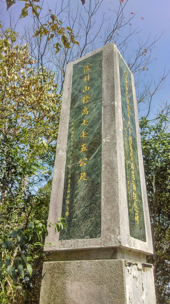 大坑5-1步道~頭嵙山三角點_872071