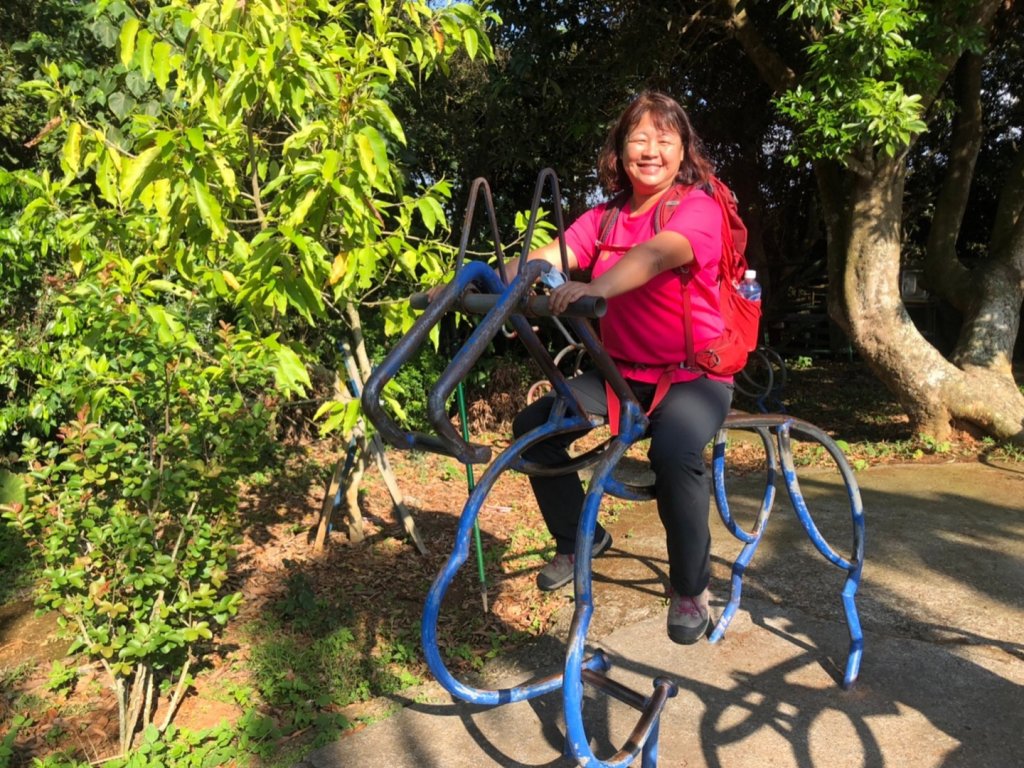 古坑荷苞山步道賞桐花_917443